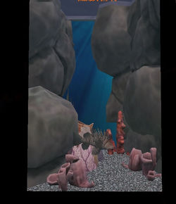 aquarium background 1