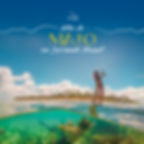 novas-datas_05-maio.jpg