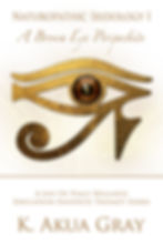 Naturopathic Iridology I