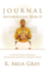 Naturopathic Reiki II Journal