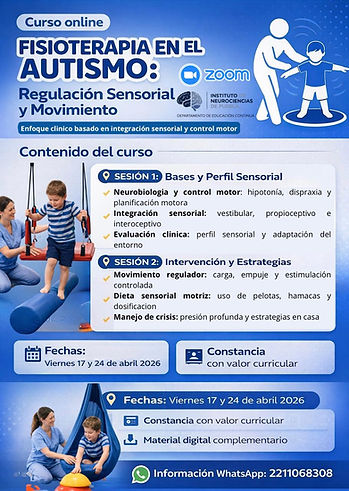 WhatsApp Image 2026-03-26 at 15.20.46.jpeg