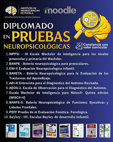 WhatsApp Image 2026-01-02 at 08.52.56.jpeg