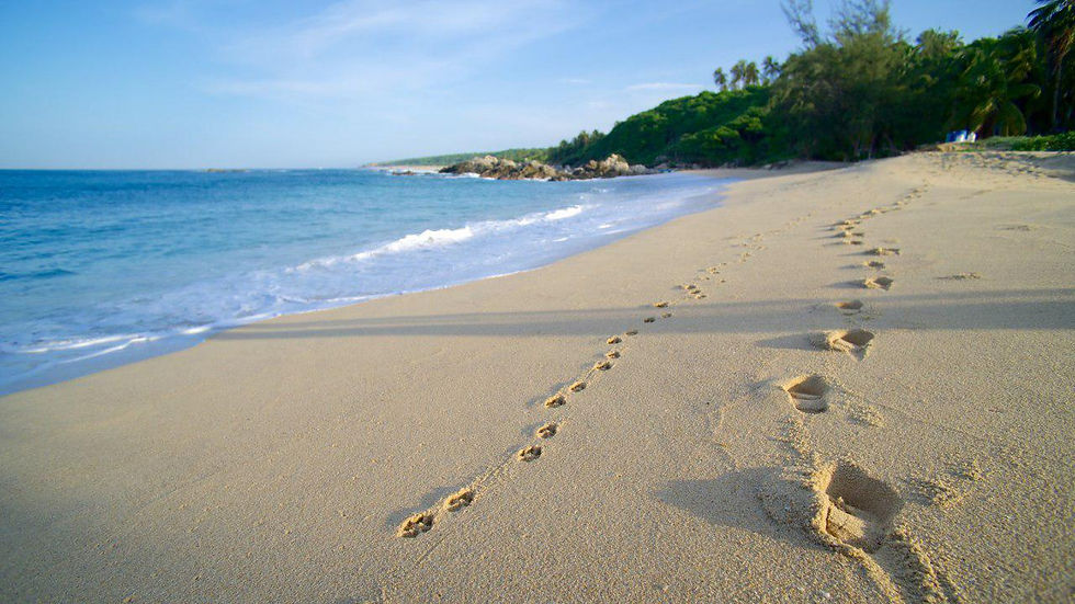 Playas Oaxaca 1