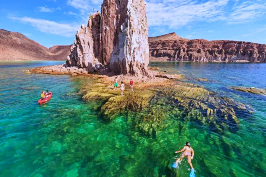 isla-espiritu-santo-bcs-mx.webp