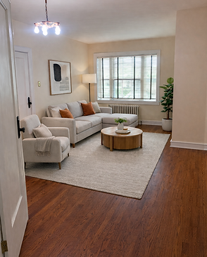 Mason-15-liv-furn.png