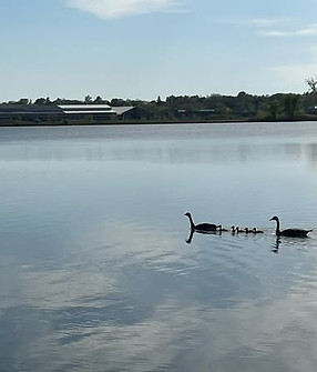 laporte-lake.jpg