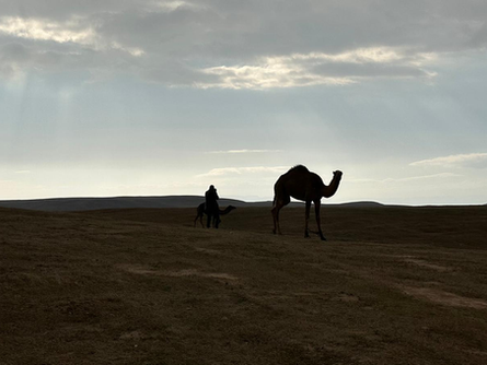 בעיניים של מעצבת - חוויות צילום במדבר יהודה