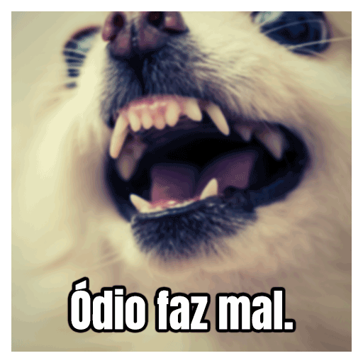 odio