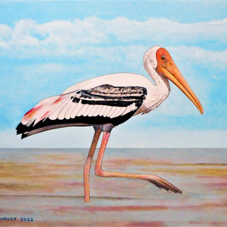 A Pelican (2022)