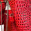 Thumbnail: 3D DRAGON VEST RED