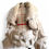 Thumbnail: FAUX FUR BOMBER WH