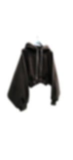 RTW CROP OVERSIZED HOODY