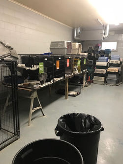 old cat kennel:garage