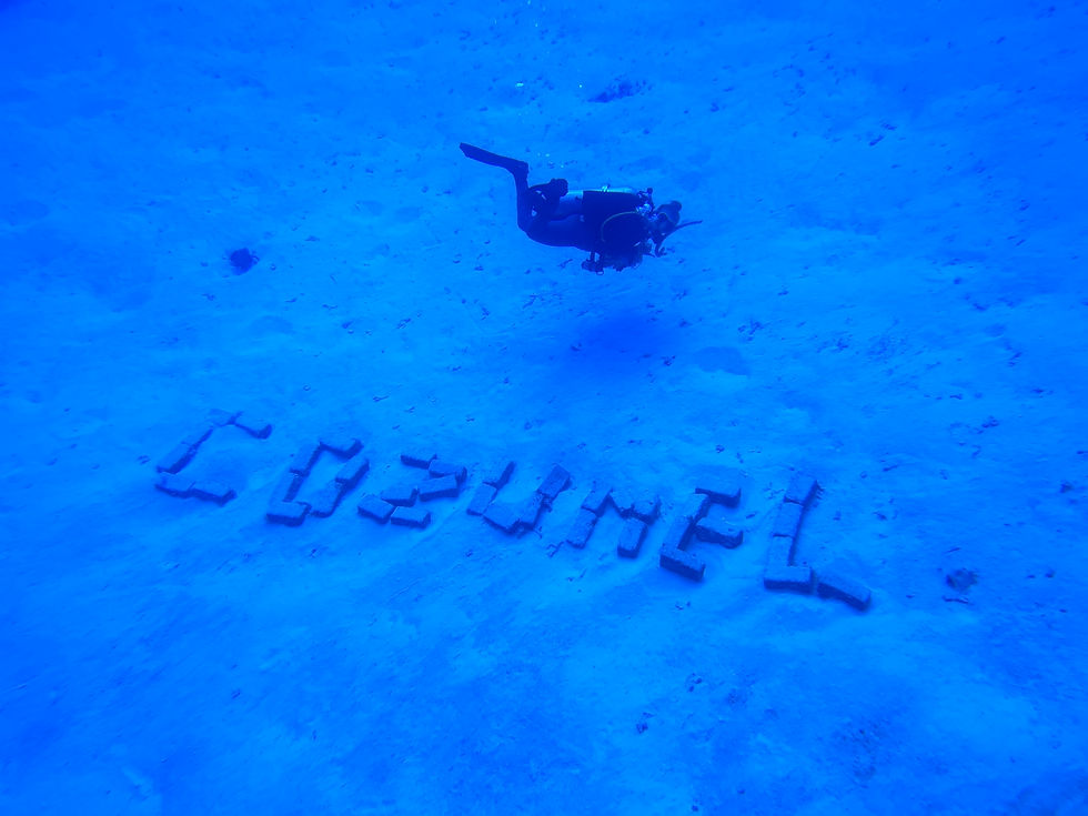 How to get to Cozumel Dive School: your complete travel guide! 