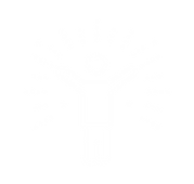 Design sans titre_edited.png