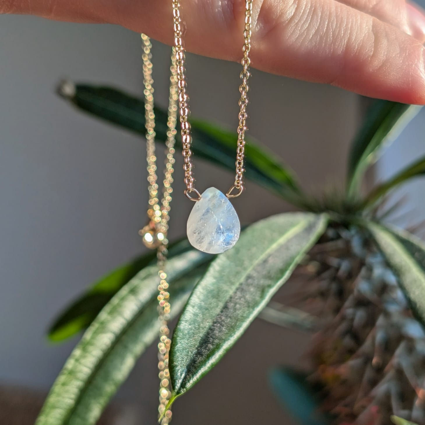 Halskette mit einem rohen Regenbogen Mondstein