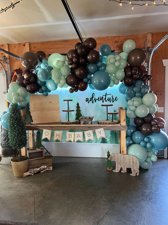 Let The Adventure Begin Baby Shower