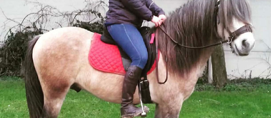 Leven met rugpijn: deel 3