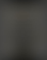 SLTA XIII Annual Awards Announcement