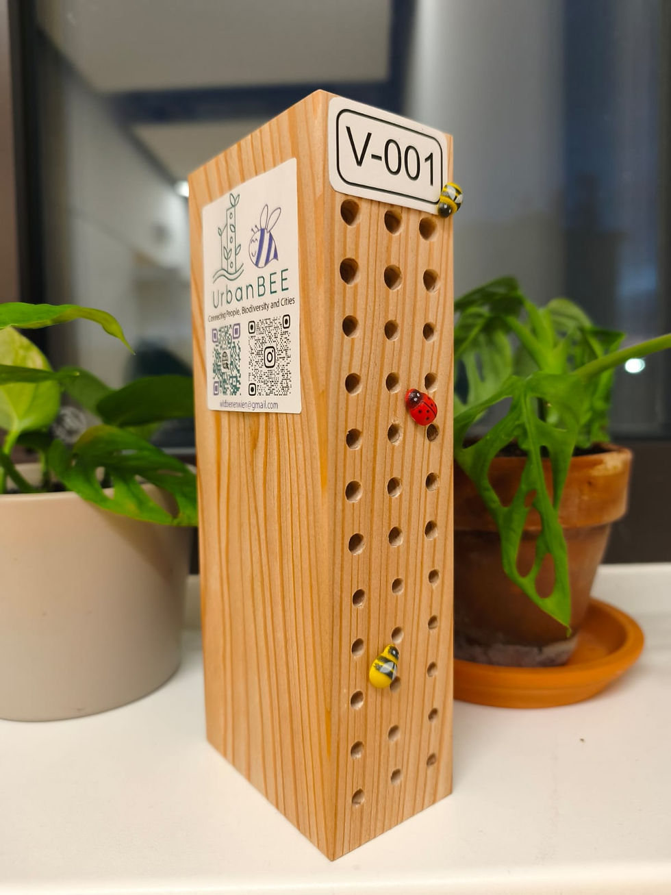 Masterarbeit: Biodiversitätsmonitoring mit Schwerpunkt Feldornithologie