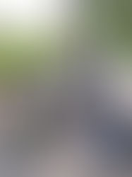 Field Notes: Nature Conservation Foundation