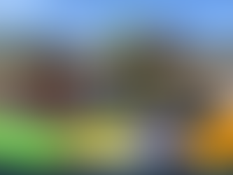 Playground Eucalipto Jacareí