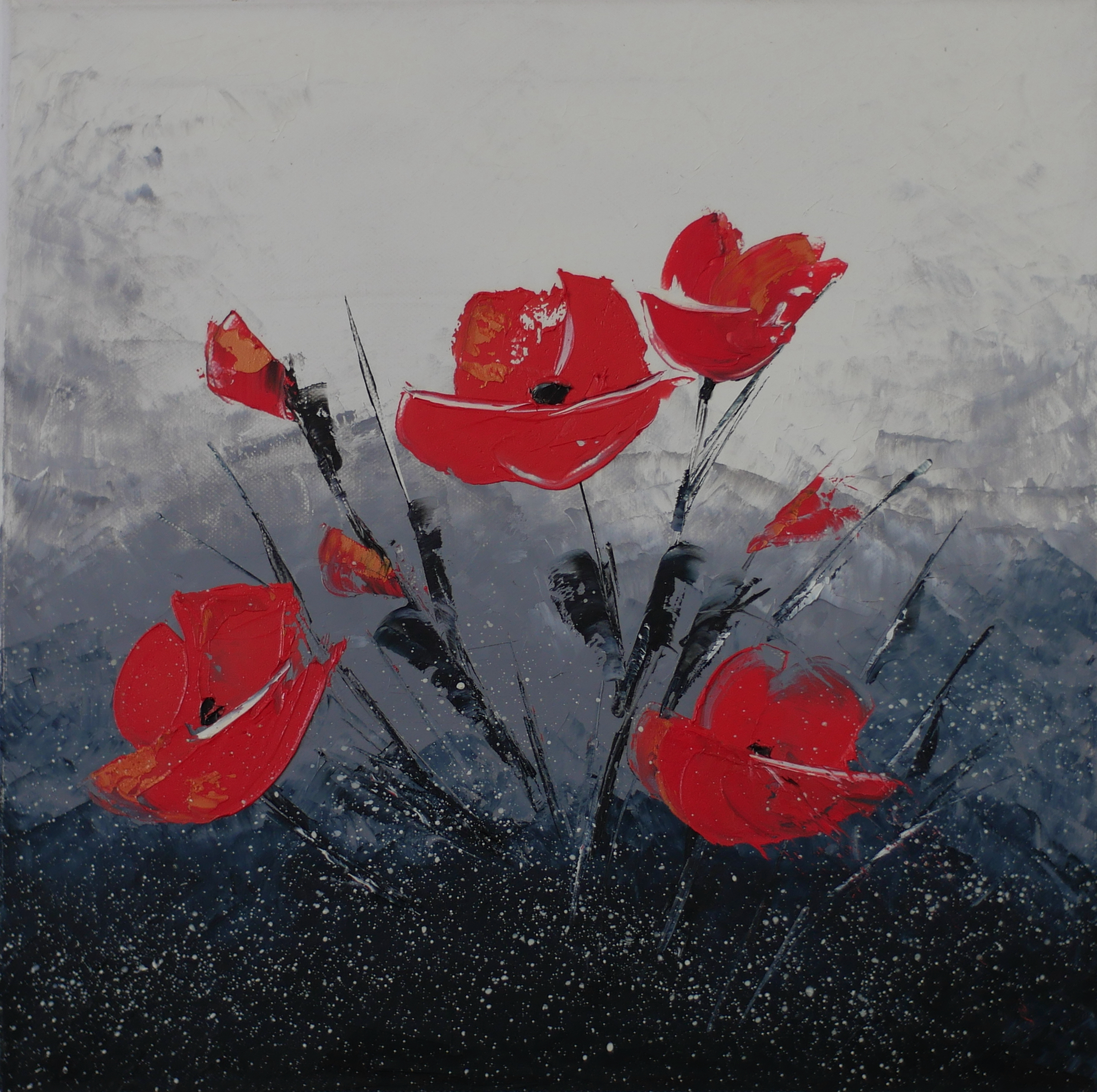 Coquelicots
