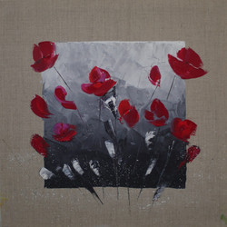 Coquelicots