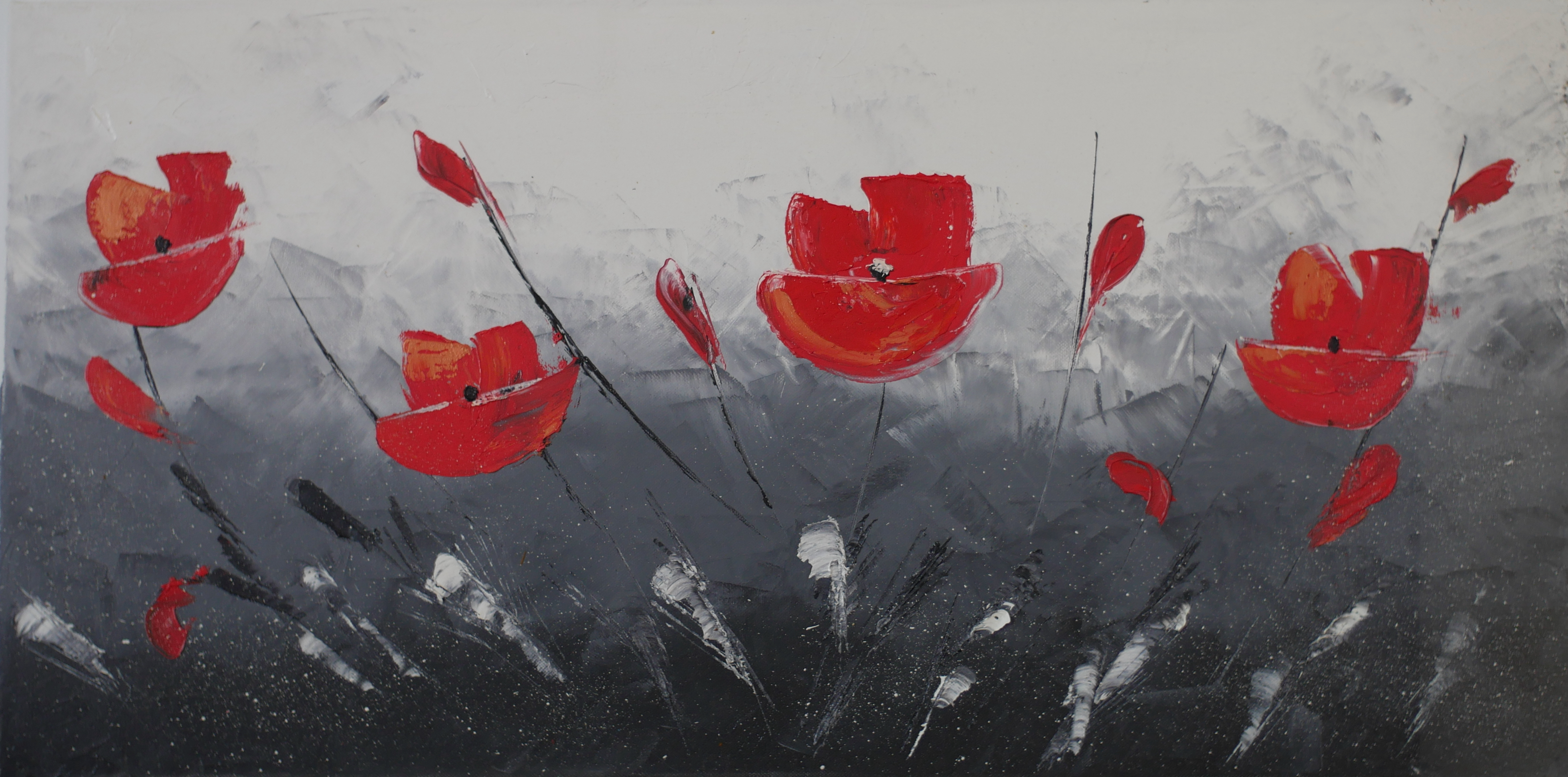 Coquelicots
