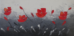 Coquelicots