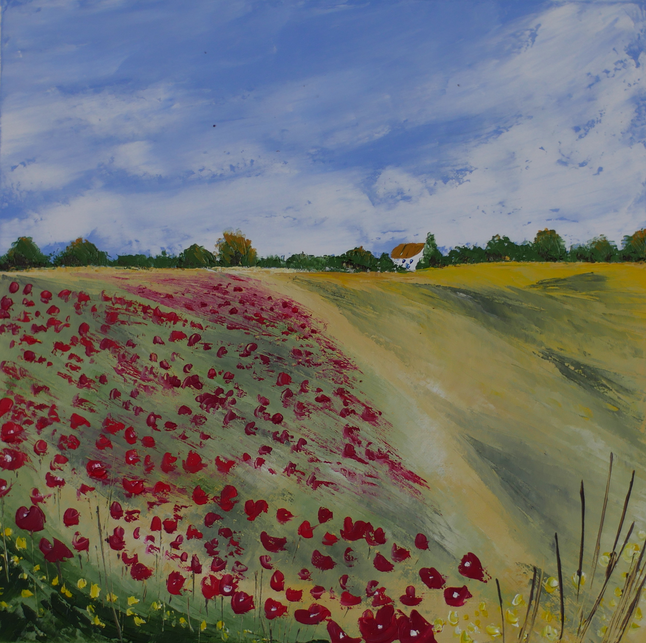 La Provence