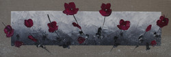 Coquelicots