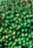 017790c35e1e8eaf68305bc6ae0b2b6bd986d0fa