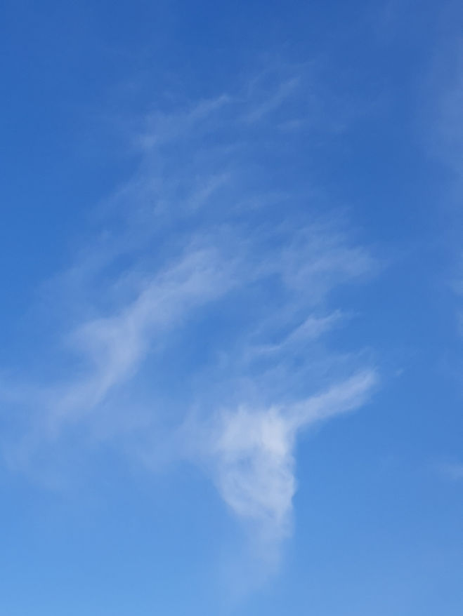 2023-02-18 14.34.32.jpg