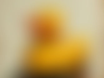 From Bathtubs to Bongs: The History of Rubber Duckys (and Why They’re Still Making Waves Today)