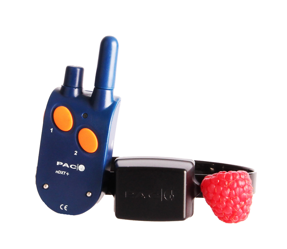 PAC NDTX+ Training System