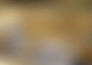 White Alba Truffles for Auction in the White Truffle Festival in Alba, Piedmont, Italy