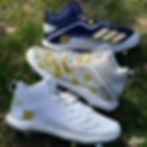 Devin Williams x DW Logo