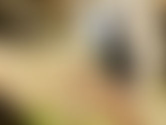 Fashion retail: online phoenix rises from high street ashes