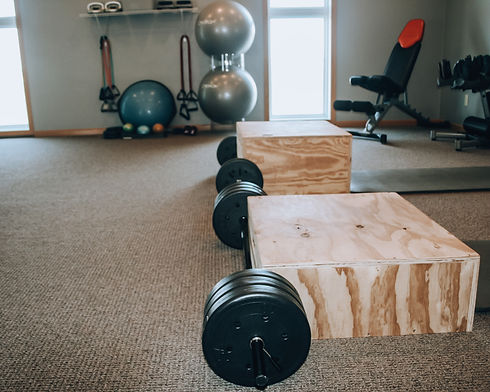 Plyo 3.JPG