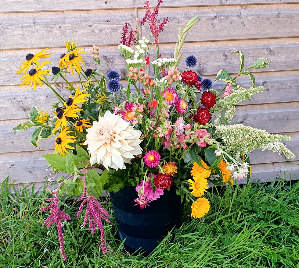 Four Seasons Bucket Subscription
