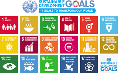 SDG.png
