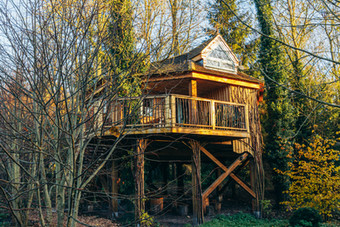 Tilia Treehouse.jpg
