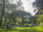 89A29DB6-58D5-41D8-8B9C-354A2688C725_1_102_o