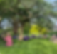B163ABE4-4FC0-4742-8333-531B22D8E832_1_105_c_edited_edited