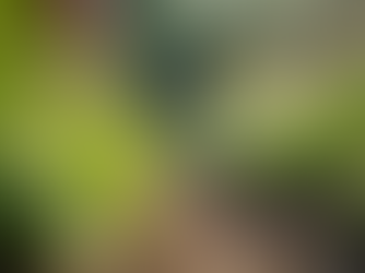 The Importance of Sustainable Living in Today's World