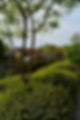 planten