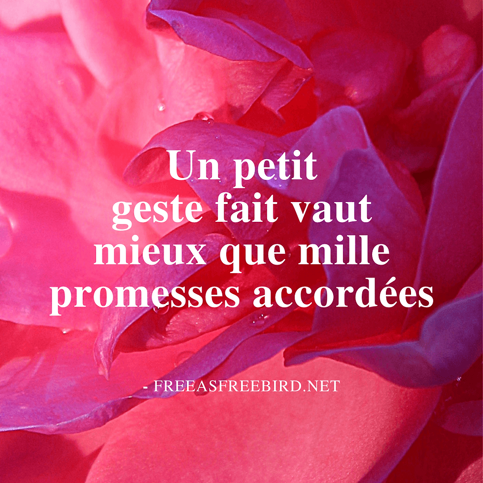 Citation : Un petit geste fait vaut mieux que mille promesses accordées.