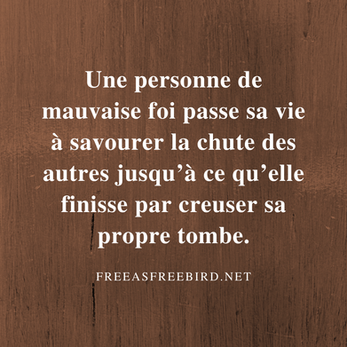 Une personne de mauvaise foi passe sa vie à savourer la chute des autres