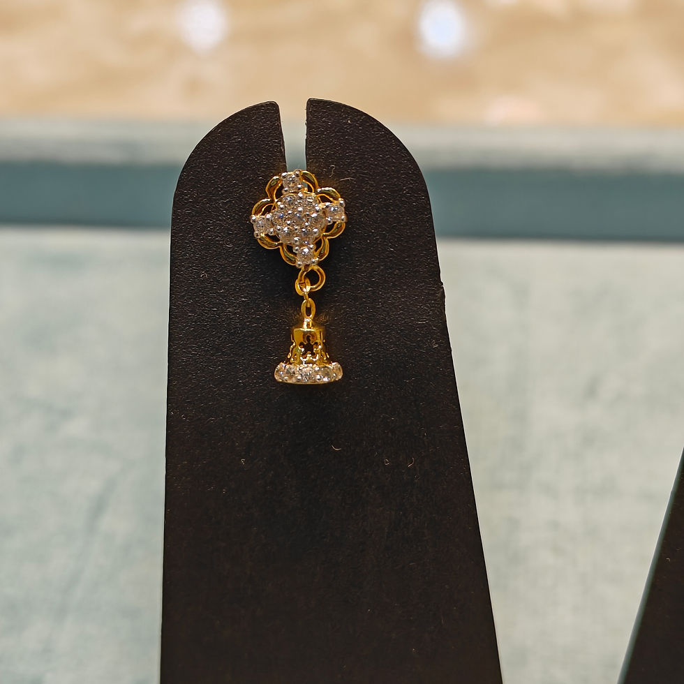 IMG20250627150716.jpg